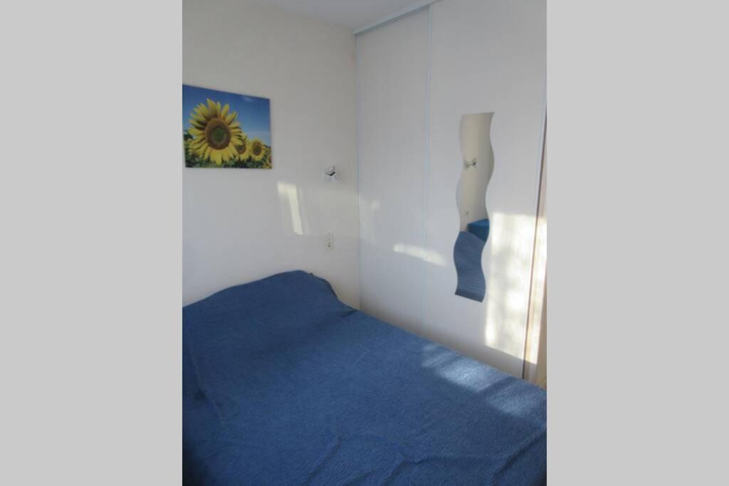 Apt Climatise T3 Saint Pierre La Mer, Terrasse, Jardin Et Parking Prive Фльори Екстериор снимка